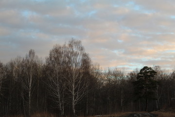 природа урала