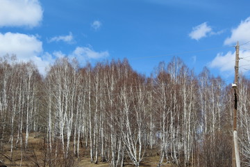 природа урала