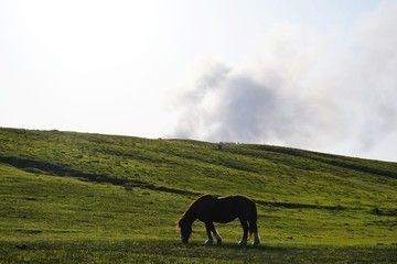 煙を吐く阿蘇火山の風景