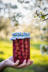Holding jar of homemade preserved cherry compote in blooming garden