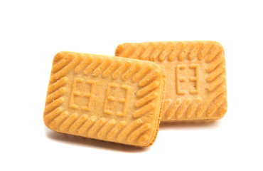 square double cookie isolated