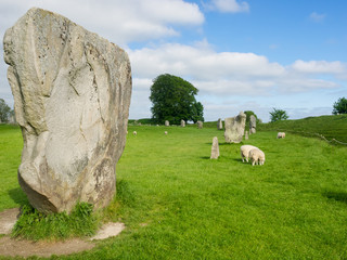 Details of stones and the environs in the Prehistoric Avebury Stone Circle, Wiltshire, England, UK