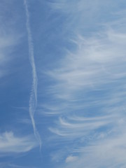 Fototapeta na wymiar soft cloud with blue sky background