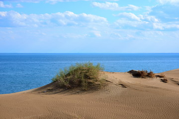 Kapchagay lake summer landscape