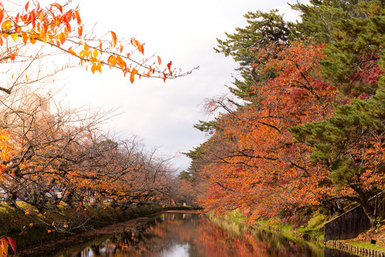 Waterside in the autumn park, Japan autumn season, Kyoto. Japan