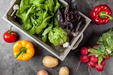 Fresh organic vegetables on rustic background