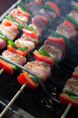 Close up pf delicious chicken breast on wooden skew with fresh vegetables, garlic, paprika fried on mangal barbeque grill and smoke