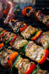 Close up pf delicious chicken breast on wooden skew with fresh vegetables, garlic, paprika fried on mangal barbeque grill and smoke