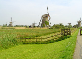 Stunning View of Kinderdijk Historic Dutch Windmill Complex, UNESCO World Heritage Site in The Netherlands