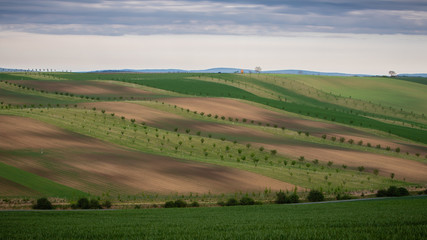 Scenic view of green and brown fields in beautiful wavy countryside.