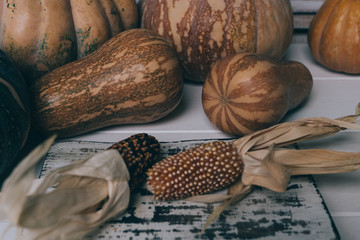 Autumn pumpkins Thanksgiving background. Orange and yellow pumpkins over white rustic wooden table. Different size pumpkins with corn on wooden background. Harvest vegetables. Toned image.