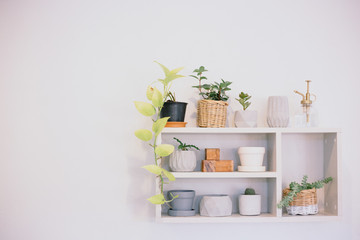 white wooden shelf with small plant on pot and ceramic material on wall