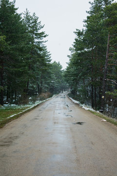 Falling snow in the mountains, road in the forest
