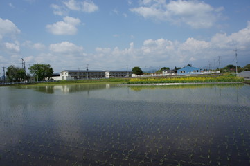 田植えの時期到来