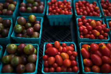 Fresh tomatoes on farmers market, California, USA. Pint baskets of organic colorful tomatoes on the counter at a farmers market. Organic vegetable stall. Selling fresh vegetables. Bio and eco food.