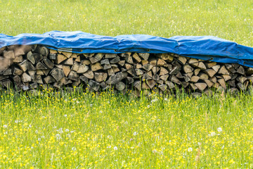 Brennholzlager abgedeckt © focus finder