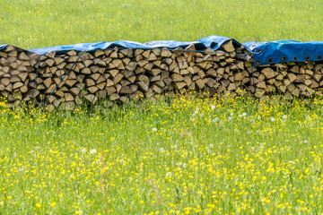 Brennholzlager abgedeckt © focus finder