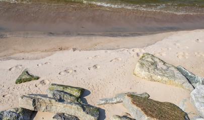 traces, footprints on the beach