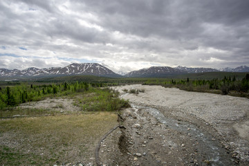 Alaska bei Denali