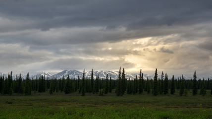 Obraz na płótnie Canvas Alaska bei Denali