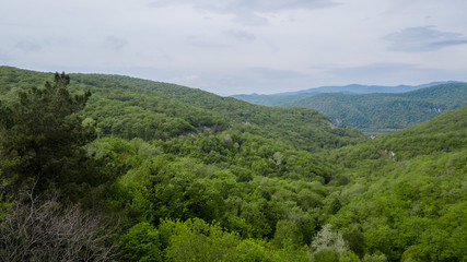 Naklejka premium Beautiful Caucasian mountain landscape,, forest trees , South Russia.
