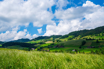 Colorful view of idyllic mountain scenery in the Alps with fresh green meadows on a beautiful day...
