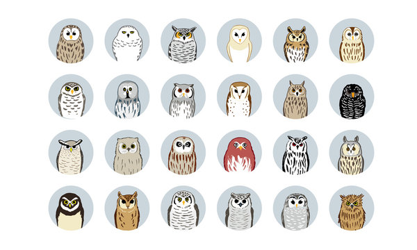 24 フクロウイラスト_24 Owl icons
