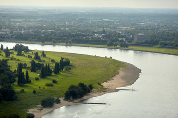 Rhein Düsseldorf Vogel