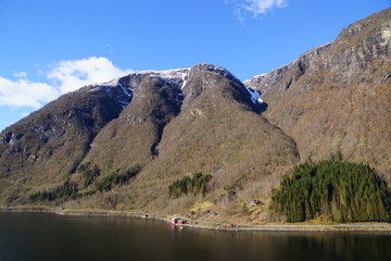 Fototapete bei efototapeten.de bestellen   