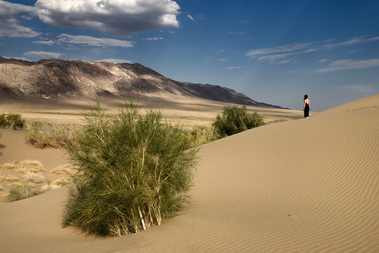 Woman in black dress looking at Ulkan Kalkan mountain from Singing Sand Dune with Saxual trees Kazakhstan