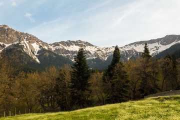 Fototapeta na wymiar mountain tops forest meadow scenic view