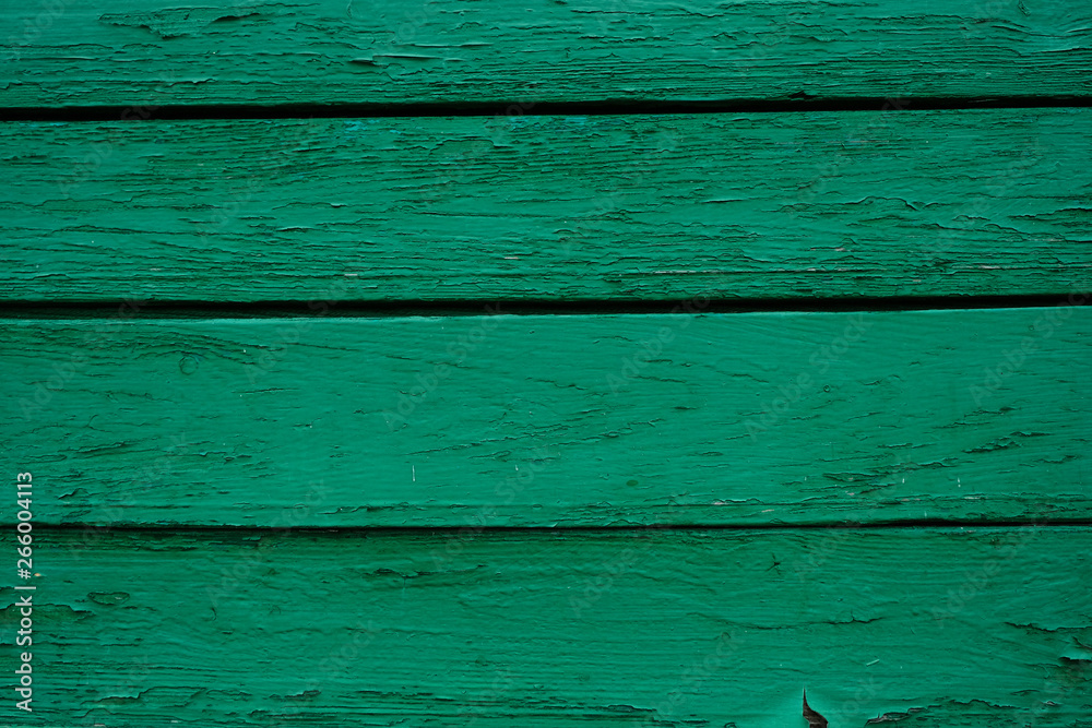 Wall mural old rough wood surface painted in green color - background in rustic style.