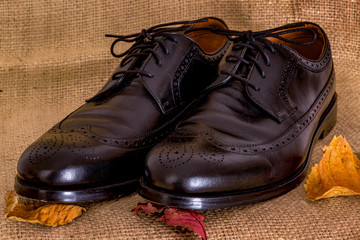 Fototapeta na wymiar Elegant men's shoes