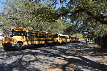school bus in the city © isabe11e