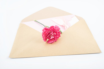 Mother's Day wishes greeting card and carnation flowers