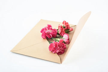 Mother's Day wishes greeting card and carnation flowers