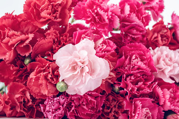 Full screen carnation flower wall background material