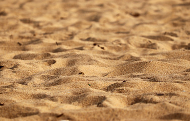Fototapeta na wymiar Sand On Beach View