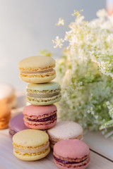 Sweets macarons and meadow white flowers in the summer evening in the garden. Dessert. Delicious sweet airy colored french pastries. Natural blurred background. Soft focus, closeup. Copy space.
