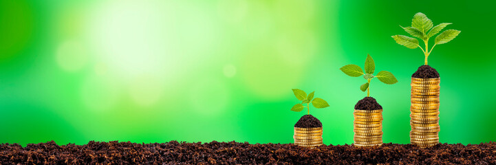 growing plants on stacked coins shows financial success