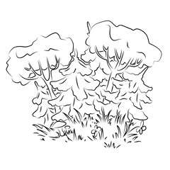 Forest vector illustration