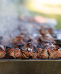 Shashlik on a mangal