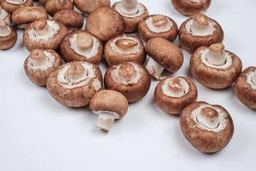 Brauner Champignon (Agaricus bisporus var. hortensis)