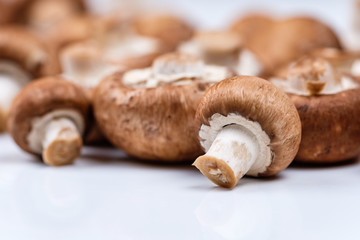 Brauner Champignon (Agaricus bisporus var. hortensis)