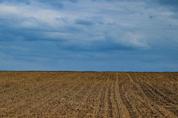 plowed field and blue sky