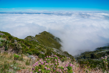 Landscape at Pico de Ruivo in Madeira island in a beautiful sunny day