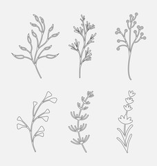 Silhouettes wild and garden flowers, herbs and twigs. Vector set of line objects isolated on white background.