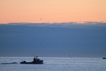 Fototapeta premium boat in sea at sunset