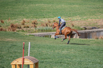 horse galloping during horse eventing competition in spring landscape