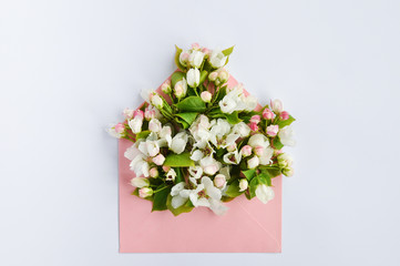 Delicate buds of a flowering Apple tree in a pink paper envelope on a white on a pink background. Flat lay, top view, copy space